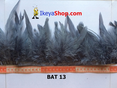 BAT 13  large2